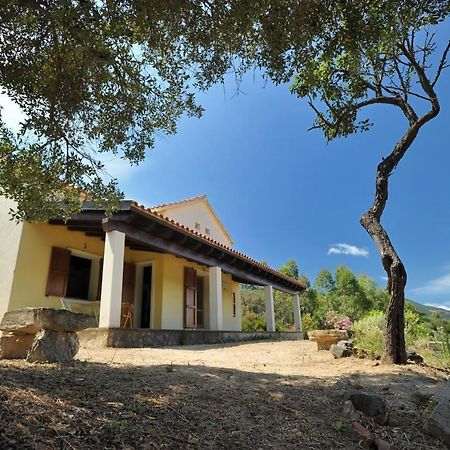 Gonnosfanàdiga Lierus B&B מראה חיצוני תמונה